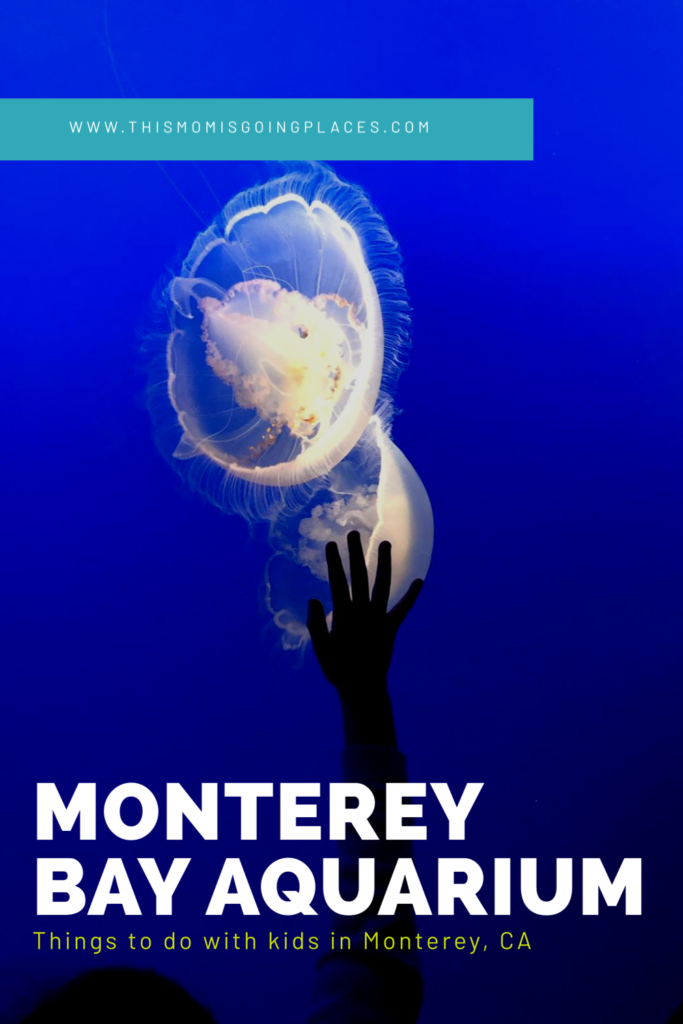 Things to do with kids in Monterey CA