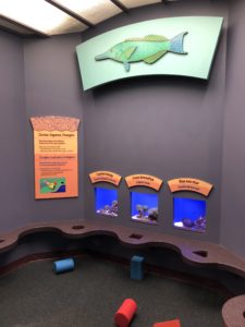 Monterey Bay Aquarium, Kids Area