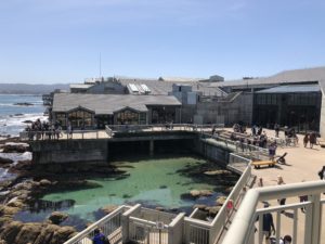 Monterey Bay Aquarium