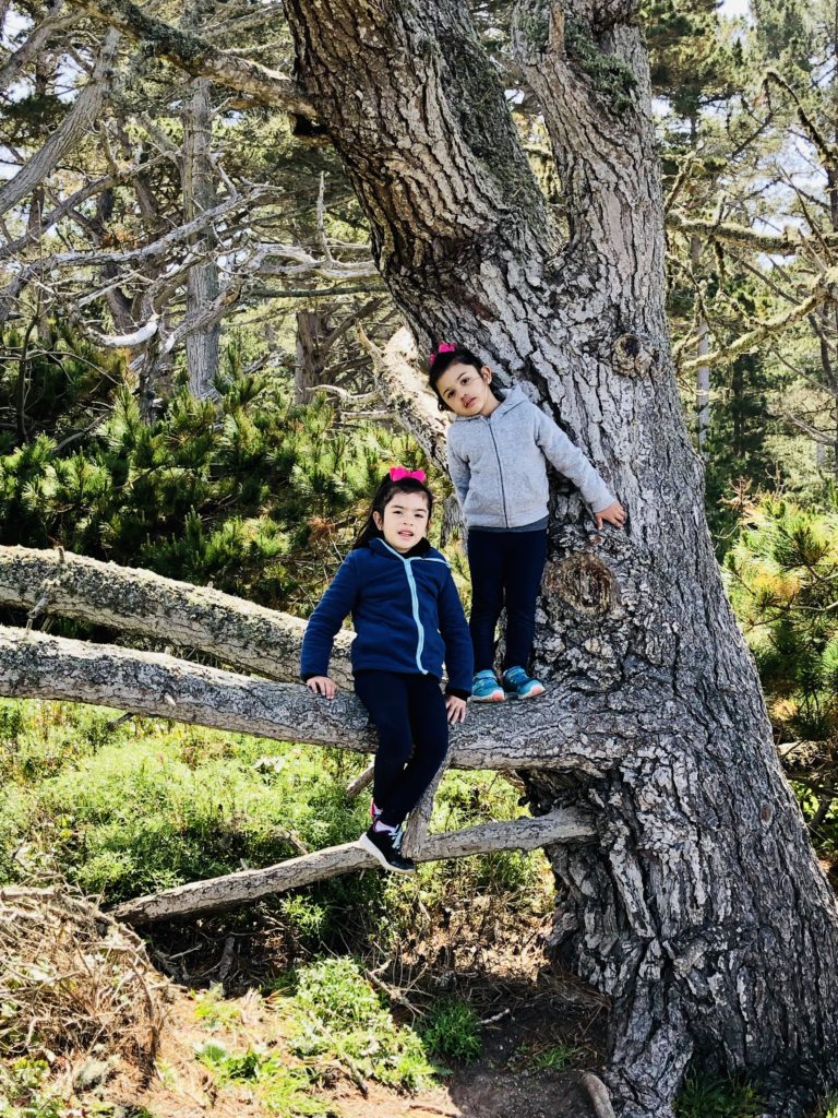 Point Lobos Kids