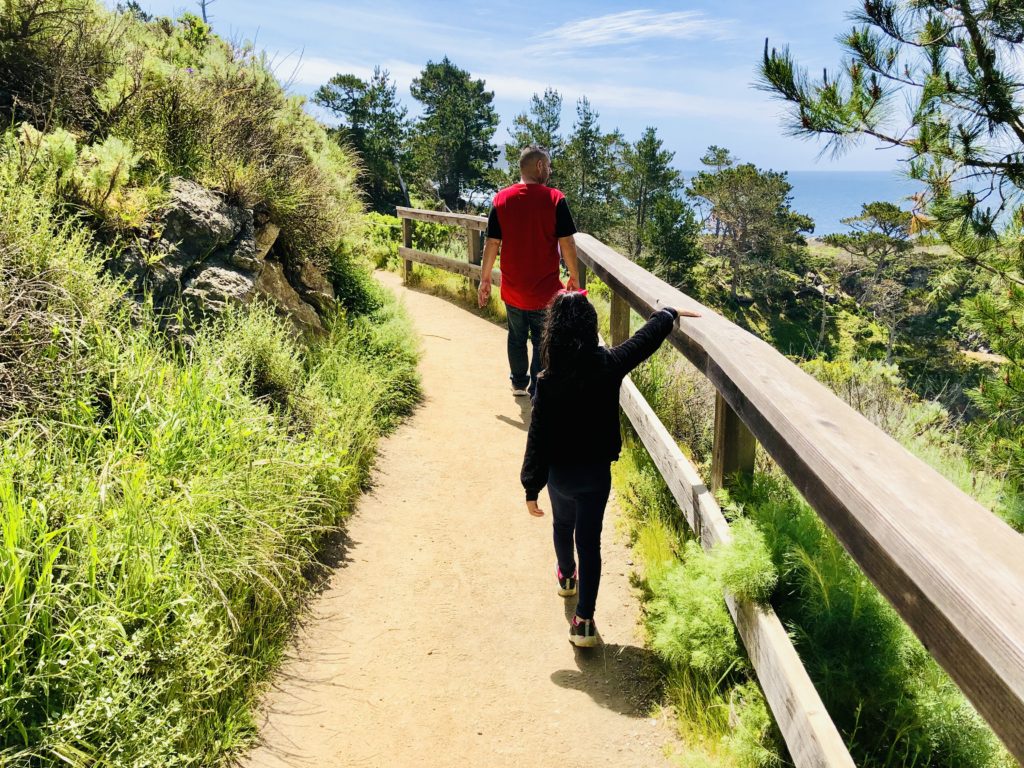 Hiking Point Lobos