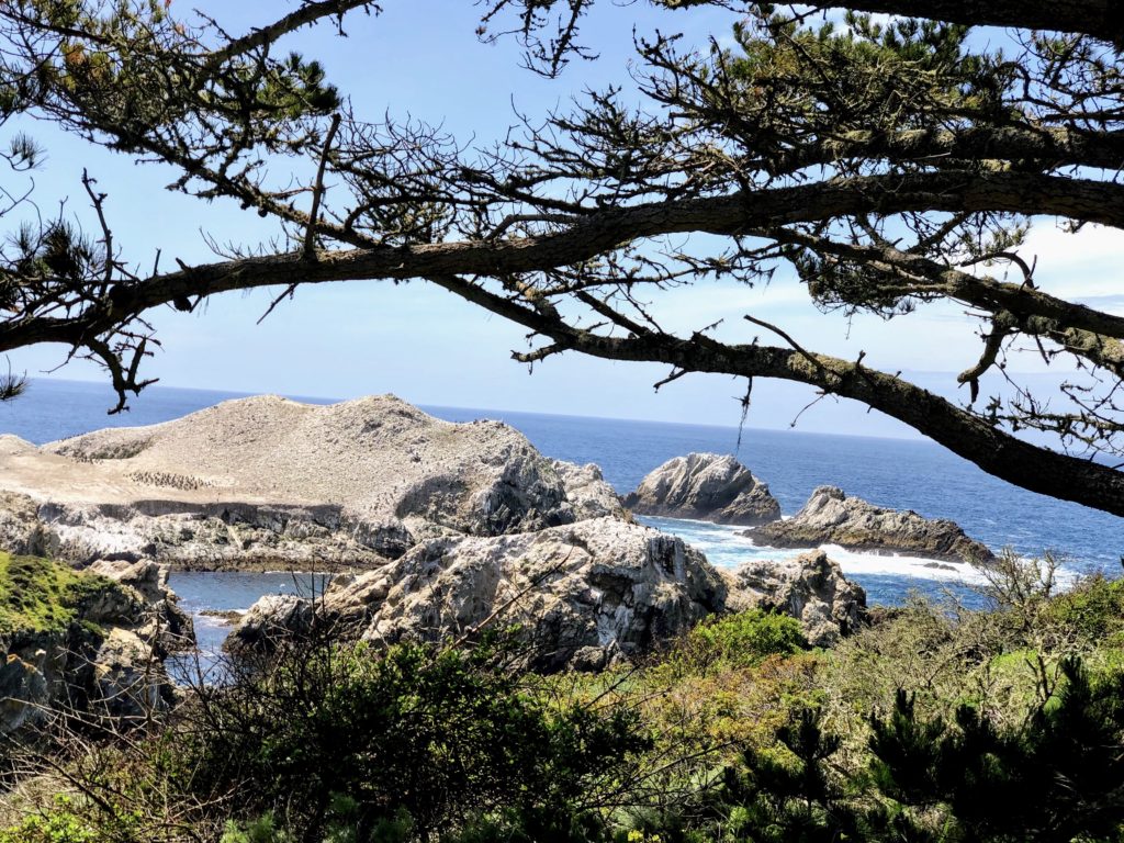 Views Point Lobos State Natural Reserve
