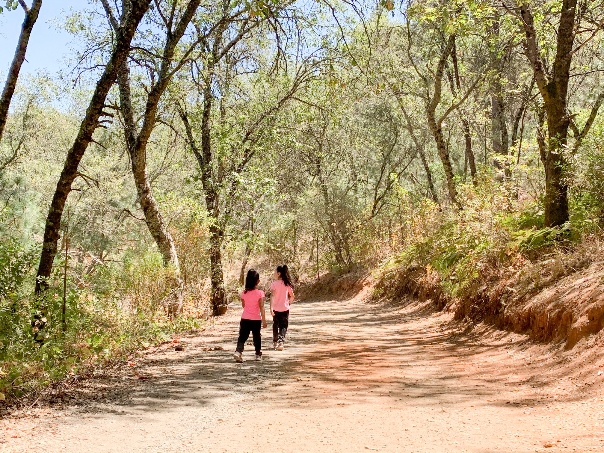 hidden-falls-regional-park-guide-this-mom-is-going-places