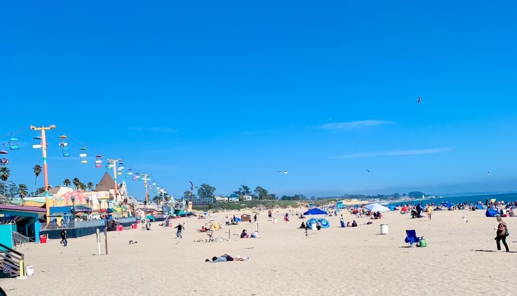 Top 5 Reasons to Visit Santa Cruz Beach, CA